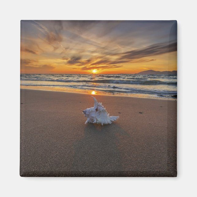 Imã Shell Na Praia Ao Sunset | Ilha Kos (Frente)
