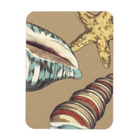 Shell Trio em Khaki