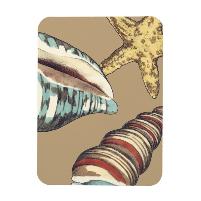 Ímã Shell Trio em Khaki (Vertical)