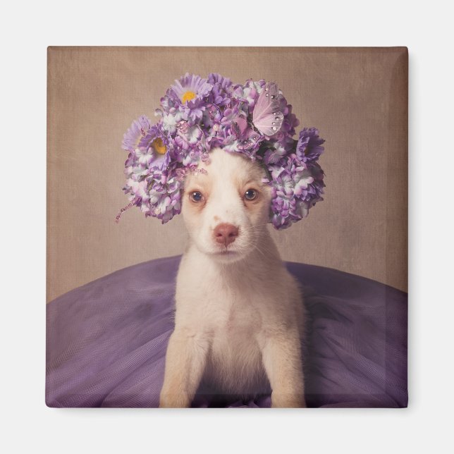 Imã Shelter Pets Project - Fiona (Frente)