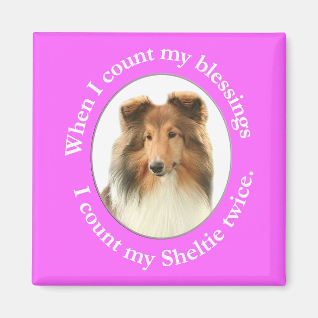 Imã Sheltie Blush Magnet (Frente)