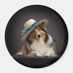 Imã Sheltie em um chapéu