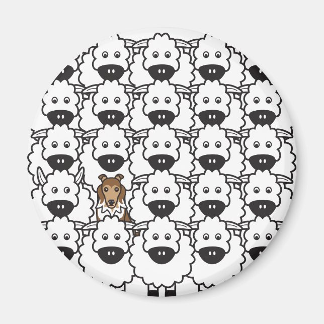 Imã Sheltie in the Sheep (Frente)