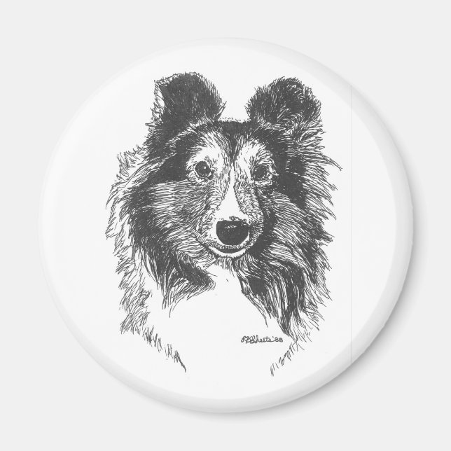 Imã Sheltie Magnet (Frente)
