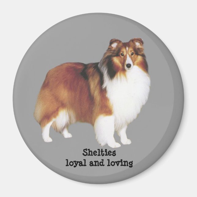 Imã Sheltie Magnet (Frente)
