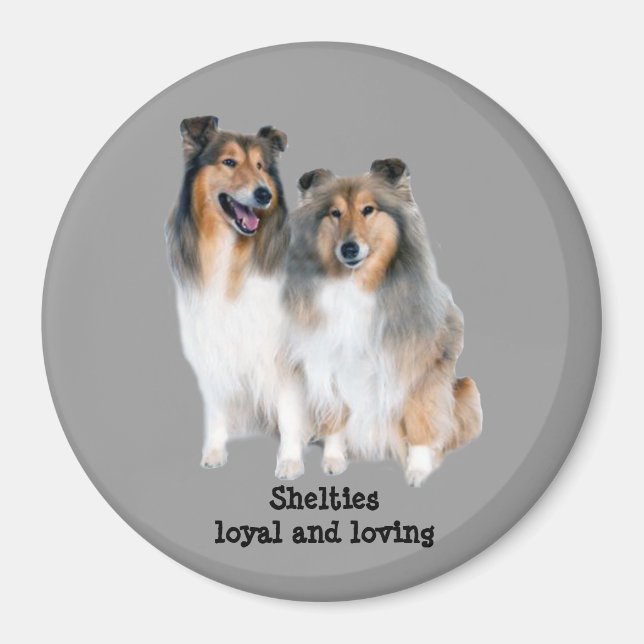 Imã Sheltie Magnet (Frente)