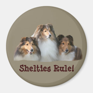 Imã Sheltie Magnet
