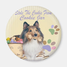 Sheltie Roubou Os Magnets