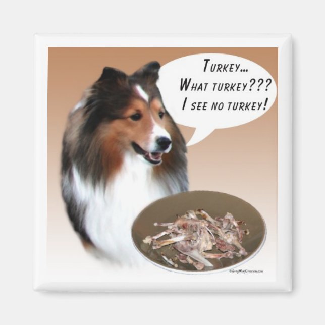 Imã Sheltie Turquia Magnet (Frente)