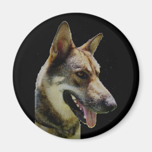 Imã Shepard Magnet