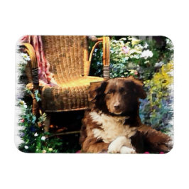 Ímã Shepherd Dog Art Australiano