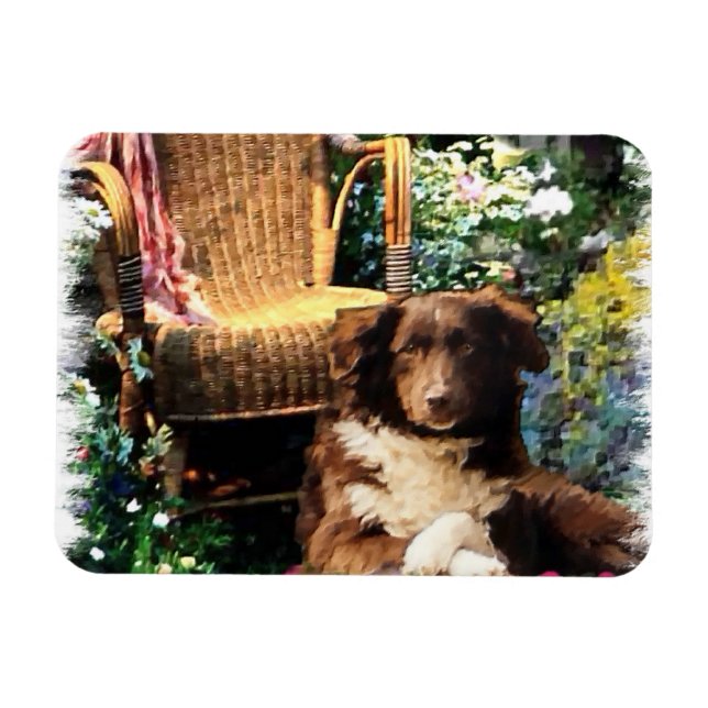 Ímã Shepherd Dog Art Australiano (Horizontal)
