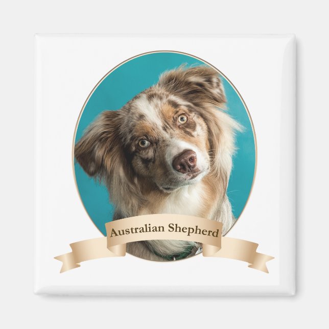 Imã Shepherd Magnet australiano (Frente)