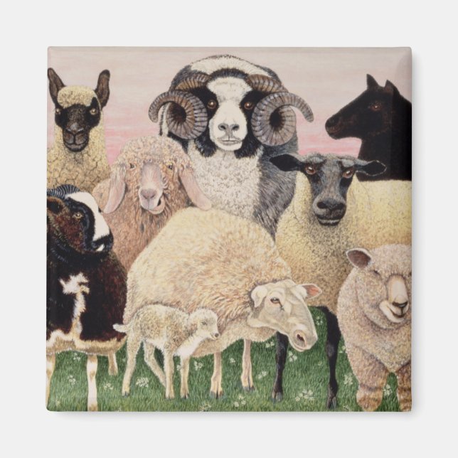 Imã Shepherds Delight (Frente)