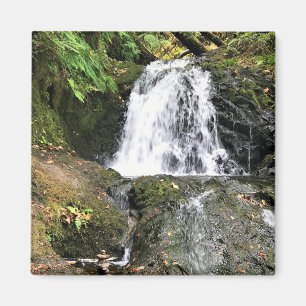 Imã Shepperd's Dell Falls, Oregon