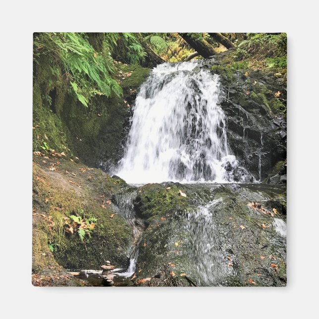 Imã Shepperd's Dell Falls, Oregon (Frente)