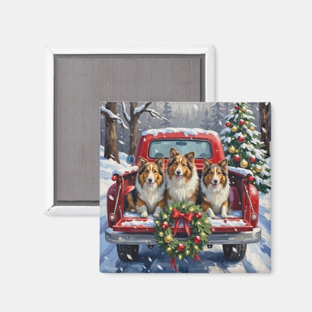 Imã Shetland Sheepdog Christmas Red Truck Holiday (Front/Back)