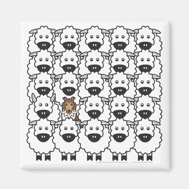 Imã Shetland Sheepdog no Ovino (Frente)