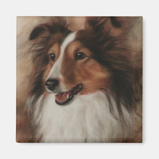 Imã Shetland Sheepdog Sheltie sorrindo (Frente)