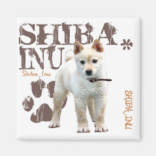 Imã Shiba Inu