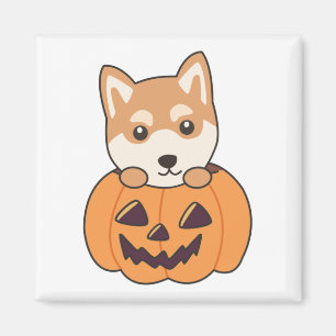 Imã Shiba Inu Em Pumpkin Doces Cães Felizes Mães De Ha