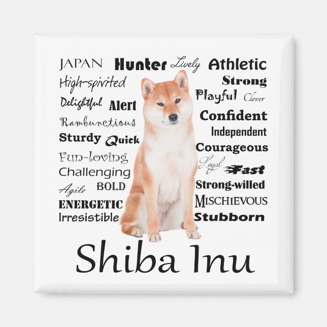Imã Shiba Inu Traça Magnet (Frente)