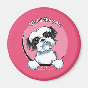 Imã Shih preto/branco Tzu IAAM