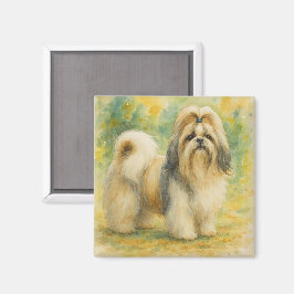Imã Shih Tzu