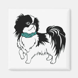 Imã Shih Tzu
