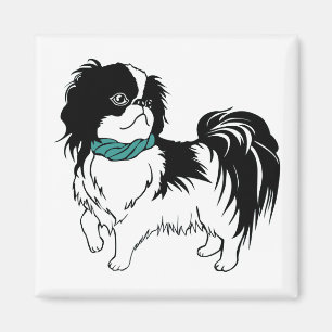 Imã Shih Tzu