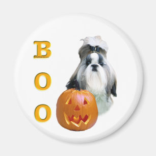 Imã Shih Tzu Boo