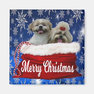 Imã Shih tzu Christmas Magnet