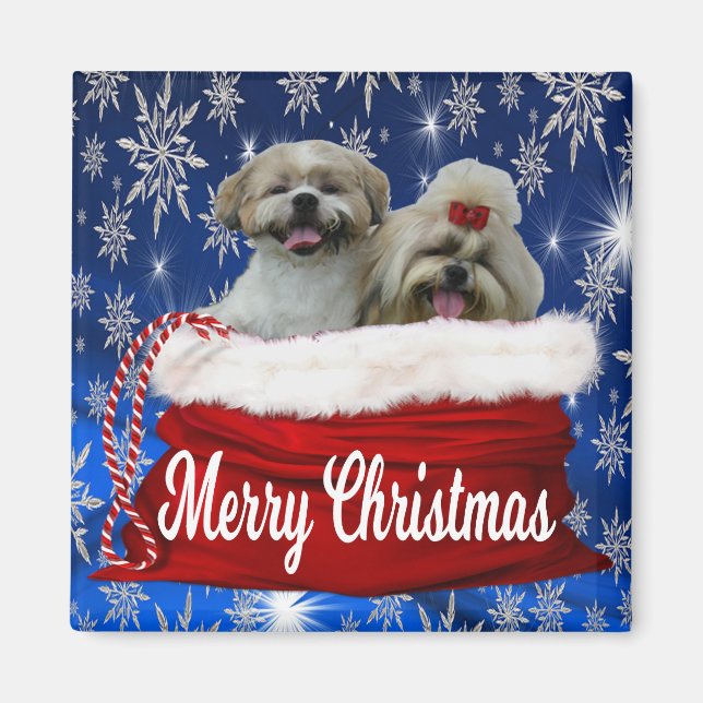 Imã Shih tzu Christmas Magnet (Frente)
