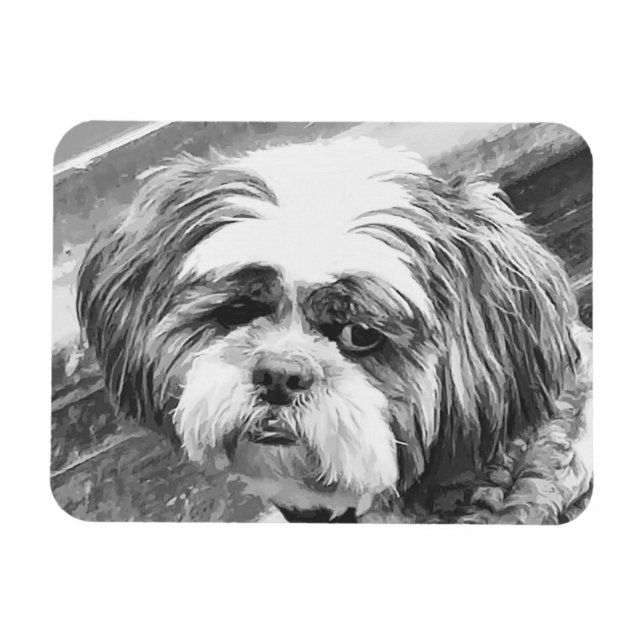 ÍMÃ SHIH TZU DOG (Horizontal)