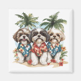 Imã Shih Tzu Dogs Vestindo camisas havaianas