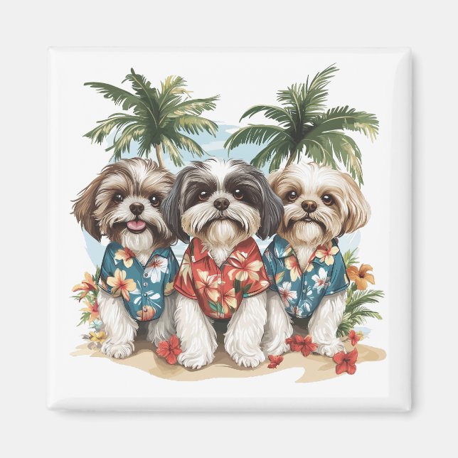 Imã Shih Tzu Dogs Vestindo camisas havaianas (Frente)