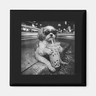 Imã Shih tzu engraçado bebendo café gelado amantes de