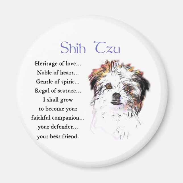 Imã Shih Tzu Lovers (Frente)