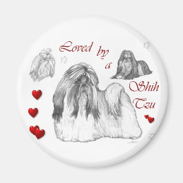 Imã Shih Tzu Lovers
