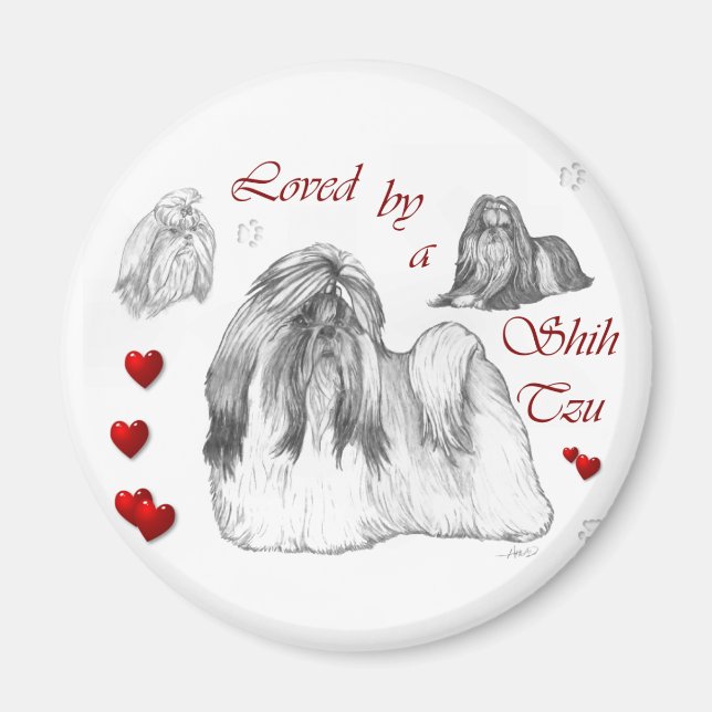 Imã Shih Tzu Lovers (Frente)