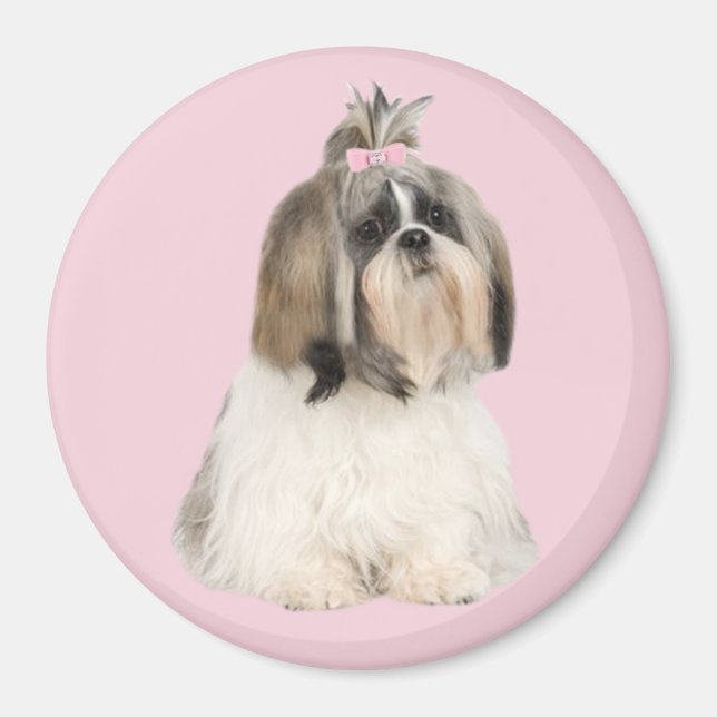 Imã Shih Tzu Magnet (Frente)