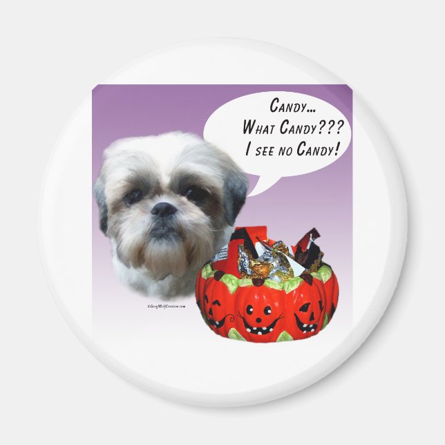 Imã Shih Tzu (natural) Halloween Candy (Frente)