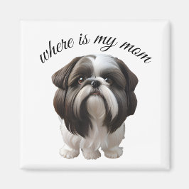 Imã Shih Tzu - Onde Está Minha Mãe?
