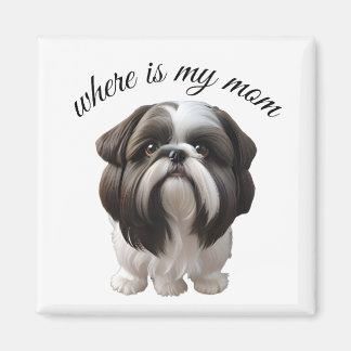 Imã Shih Tzu - Onde Está Minha Mãe?
