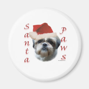 Imã Shih Tzu Papais noeis Paws
