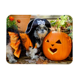 Ímã Shih Tzu Pirate Girl Flexible Photo Magnet