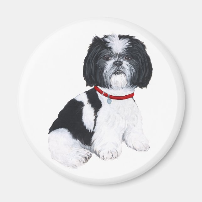 Imã Shih Tzu Preto e Branco (Frente)