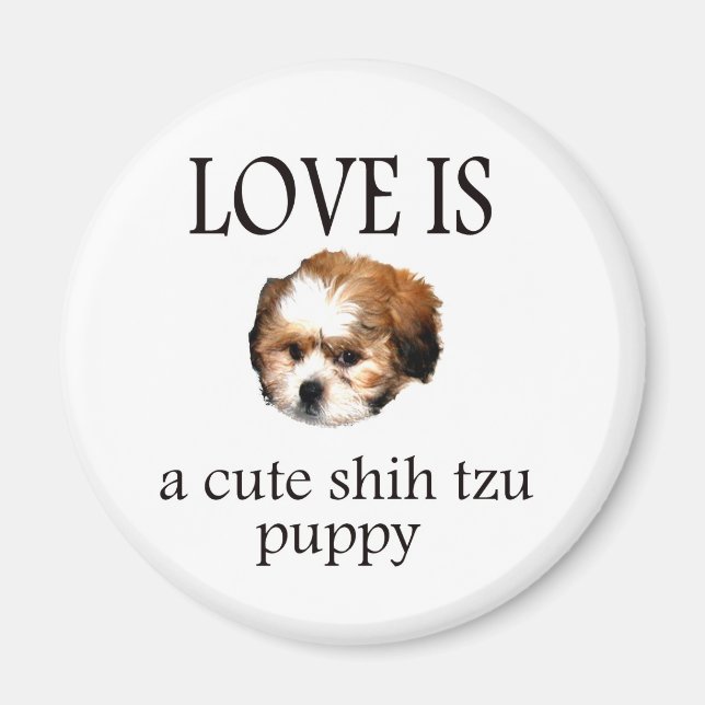 Imã Shih Tzu Puppy (Frente)
