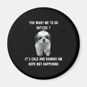 Imã Shih Tzu Shih Tzu Você Quer Que Eu Saia