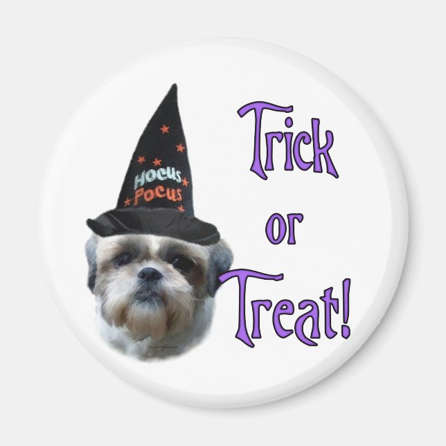 Imã Shih Tzu Trick (Frente)